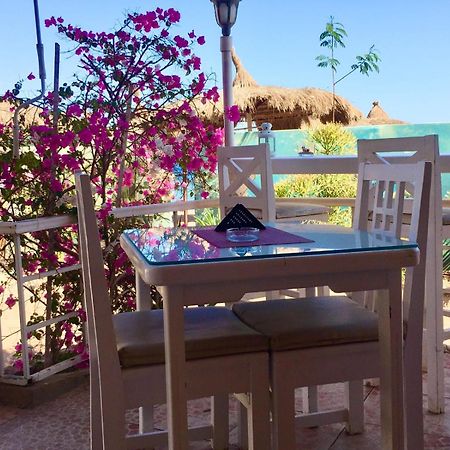 Sunshine-Divers Club Sharm El-Sheikh Exterior foto
